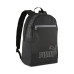 PUMA 091166 PHASE II 4930